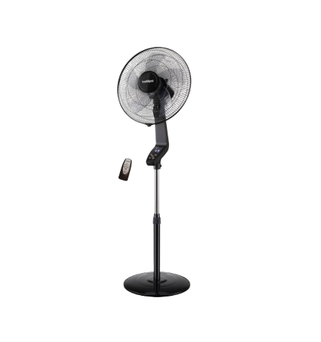 BASTILIPO, COIN BLACK, 50W, base redonda, gama premium
